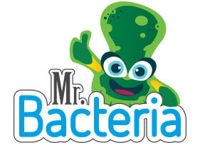 kontakt mr bacteria