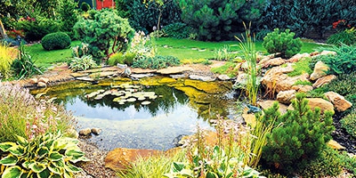 A few tips on how to keep your garden pond clean and clear. Have you heard of bacteria? They work great!!!